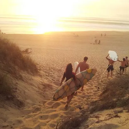Le Surf Spot
